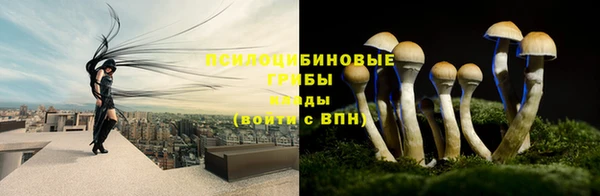хмурый Нефтегорск