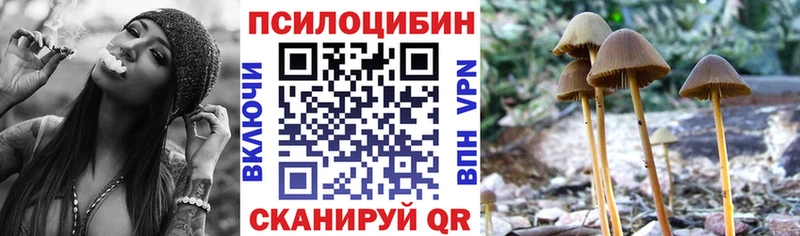 shop формула  Лакинск  Псилоцибиновые грибы Psilocybe  купить наркоту 